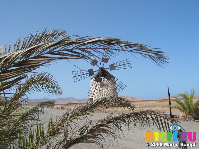 27698 Molino (windmill) de Tefia through palm leaves